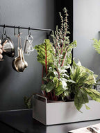 Plant Box Negro S