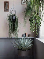 Hanging Planter, Black Decor