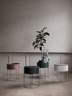 Plant Box Negro Redonda -