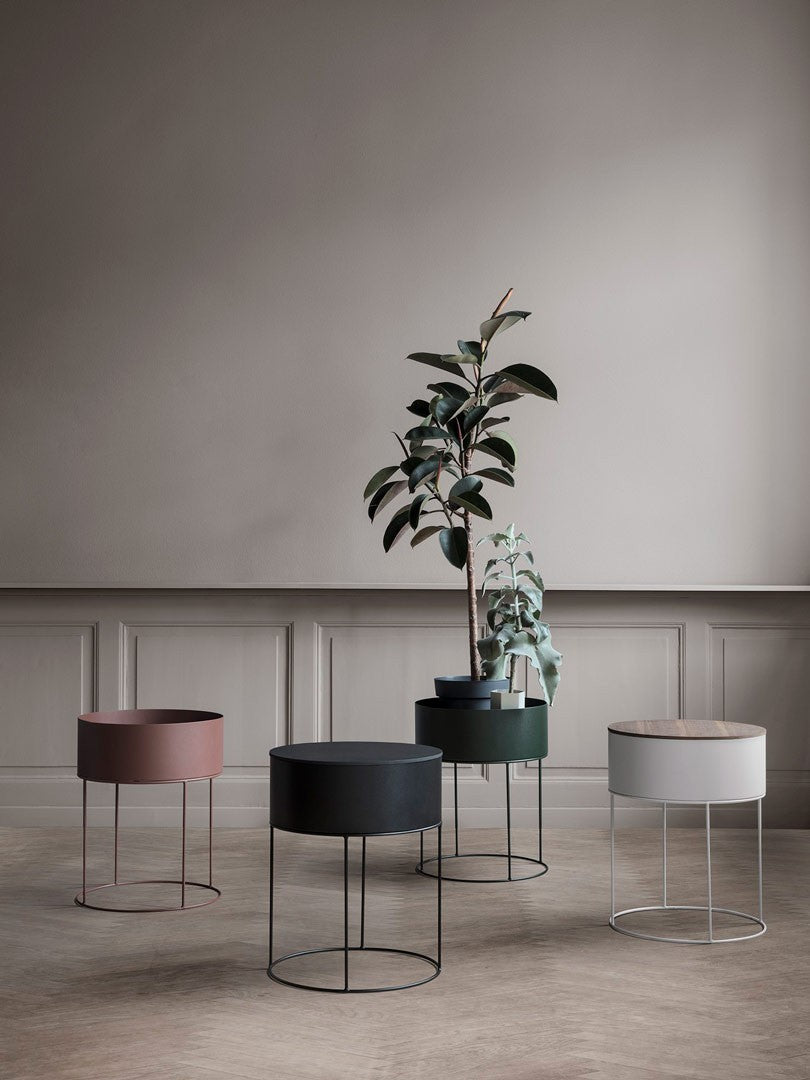 Plant Box Negro Redonda -