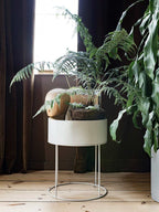 Plant Box Gris Claro Redonda -
