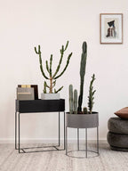 maceta-plant-box-gris-claro-8393