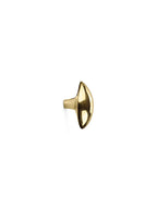 Lemon Brass Hook