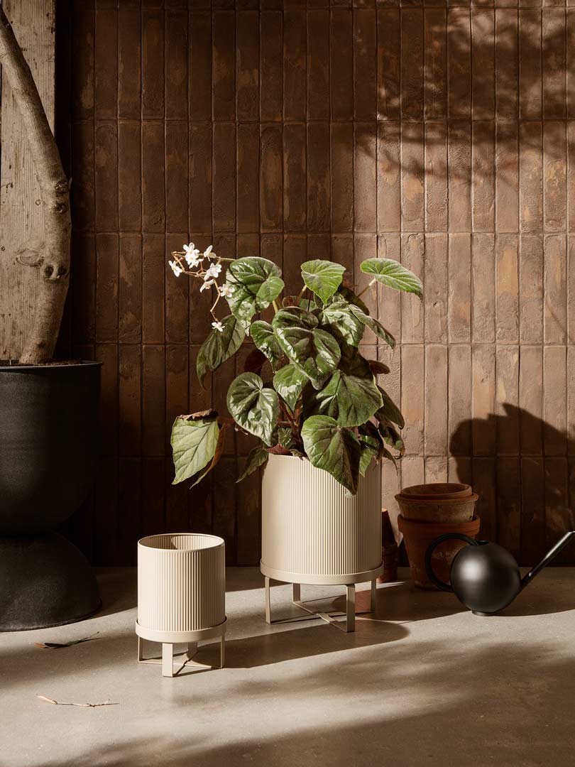 Maceta Bau Grande Cashmere