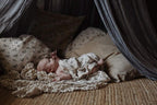 Mousseline Pillowcase | Clover