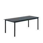 Mesa Linear Steel 200