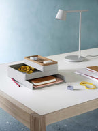 Mesa Workshop