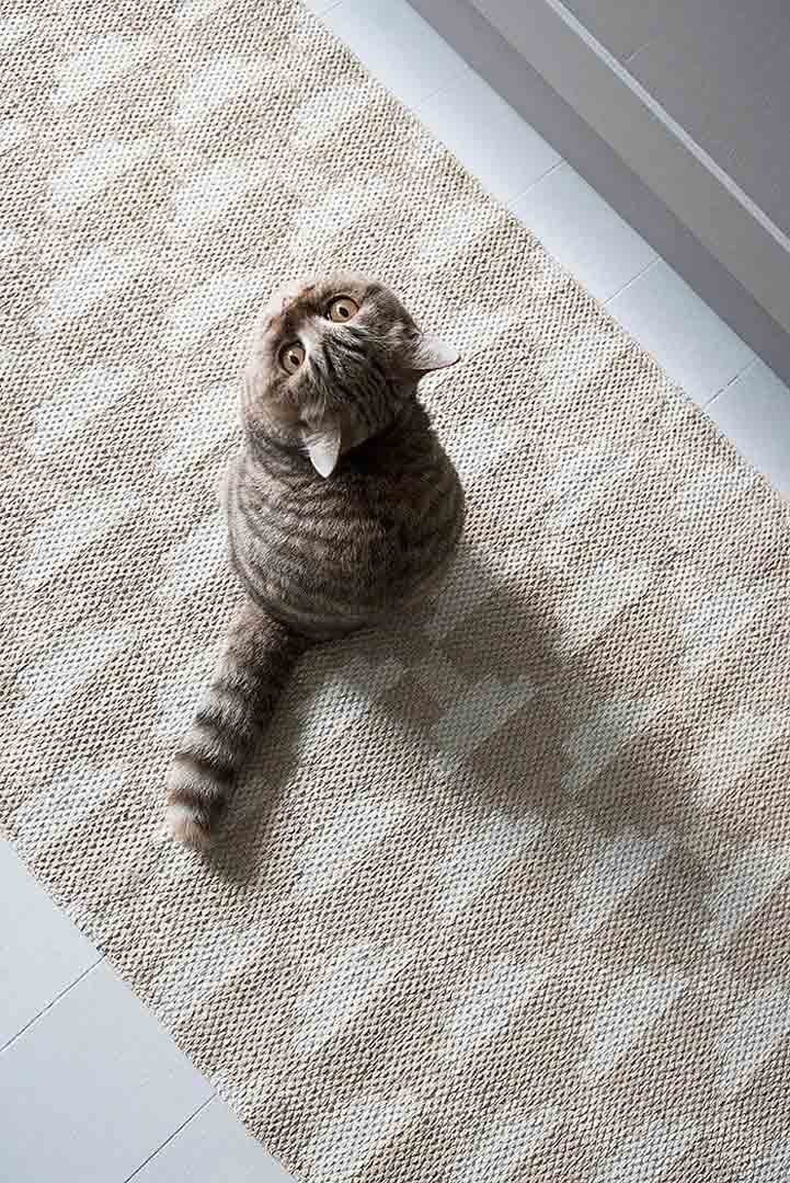 Alfombra | Confect 70