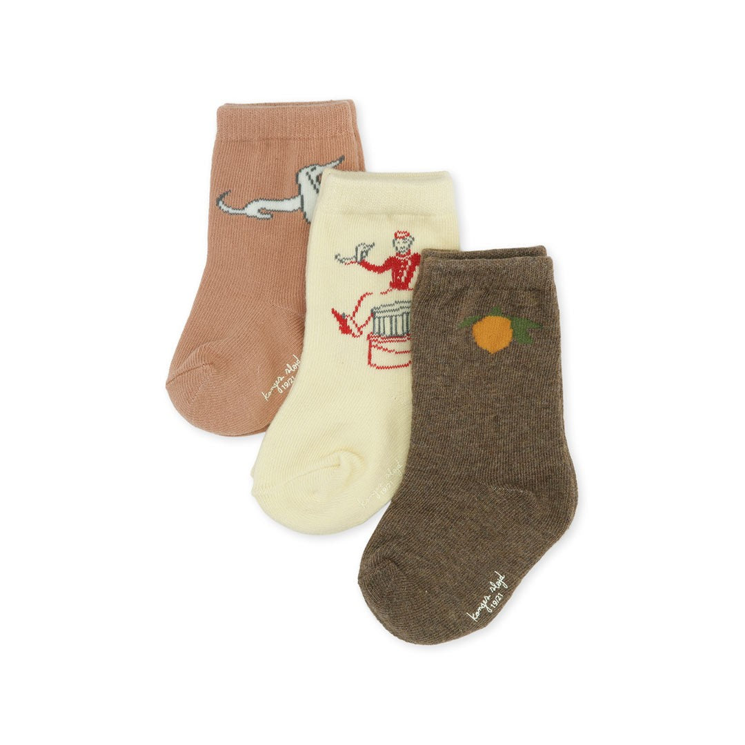 pack-3-calcetines-jacquard--lemonbell-boydog-10570