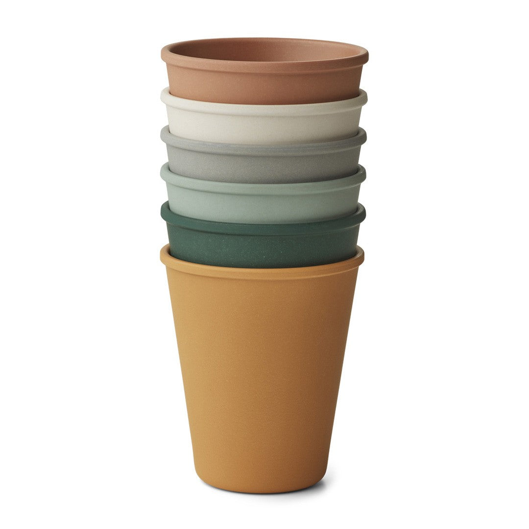 Pack 6 Vasos | Carter