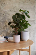 Drop Leaf Table HM6