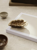 Cuenco Oyster