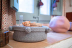Cesta | Tray