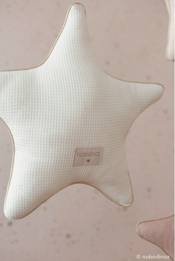 Cojín Estrella Aristote 40x40