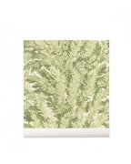 Papel Pintado | Florencecourt 100/1003