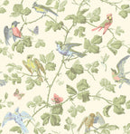 papel-pintado--winter-birds-1002006-11709
