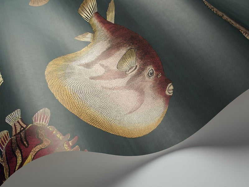 Papel Pintado | Acquario 114/12024