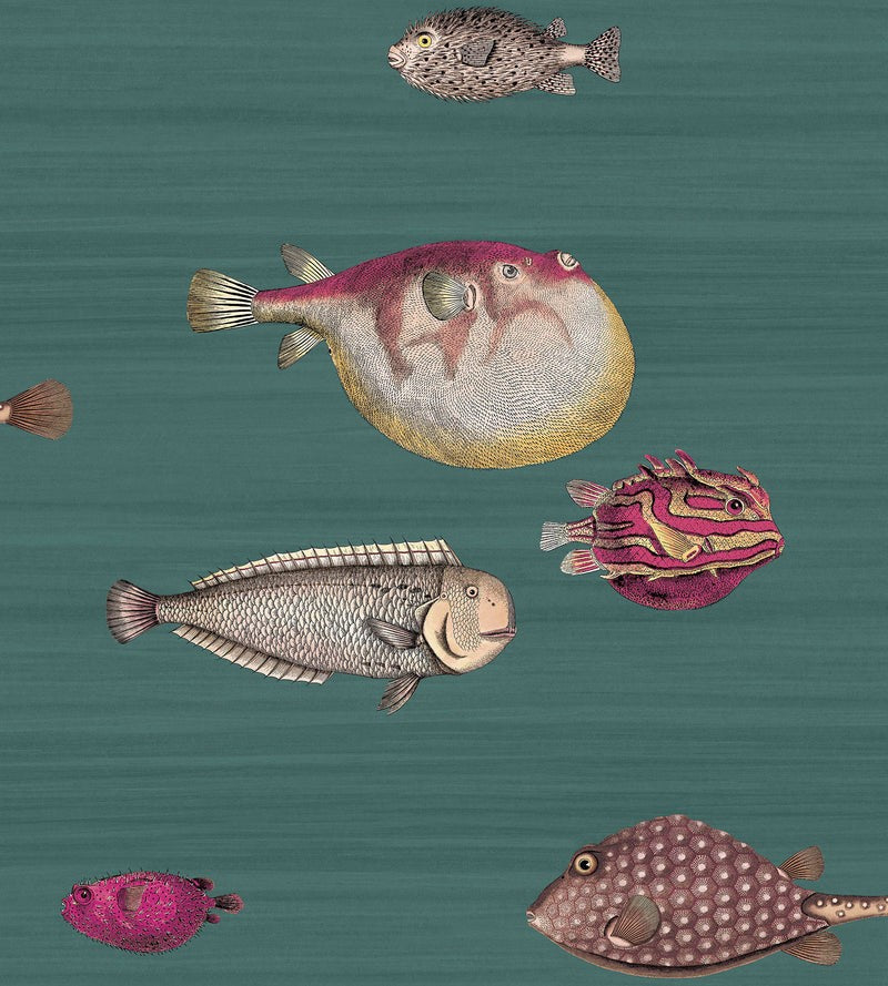 Papel Pintado | Acquario 114/12024