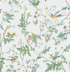 Papel Pintado | Hummingbirds 112/4015
