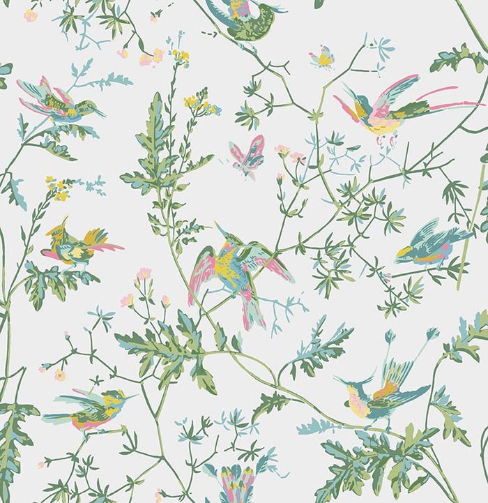 Papel Pintado | Hummingbirds 112/4015