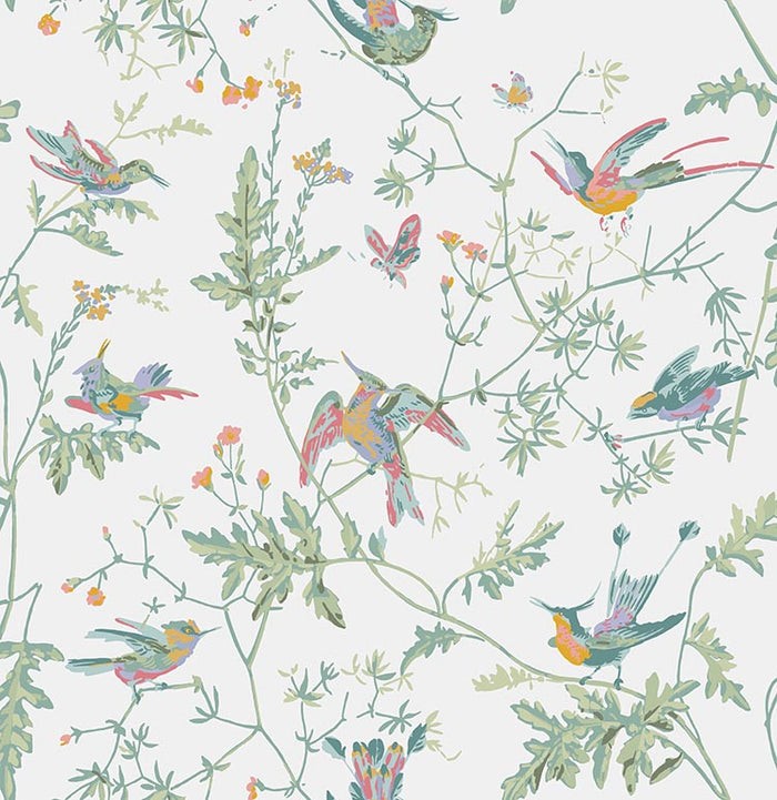 Papel Pintado | Hummingbirds 112/4016