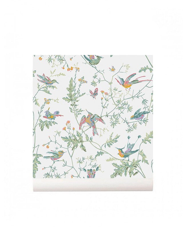papel-pintado--hummingbirds-1124016-11719