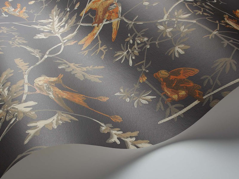 Papel Pintado | Hummingbirds 112/4017