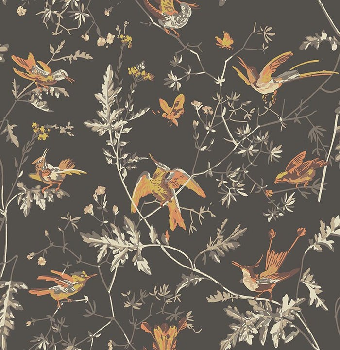 Papel Pintado | Hummingbirds 112/4017