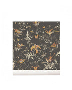 papel-pintado--hummingbirds-1124017-11720