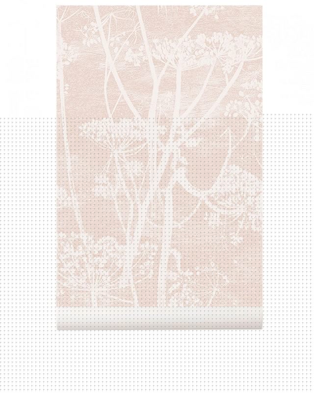 papel-pintado--cow-parsley-icon-1128028-11723