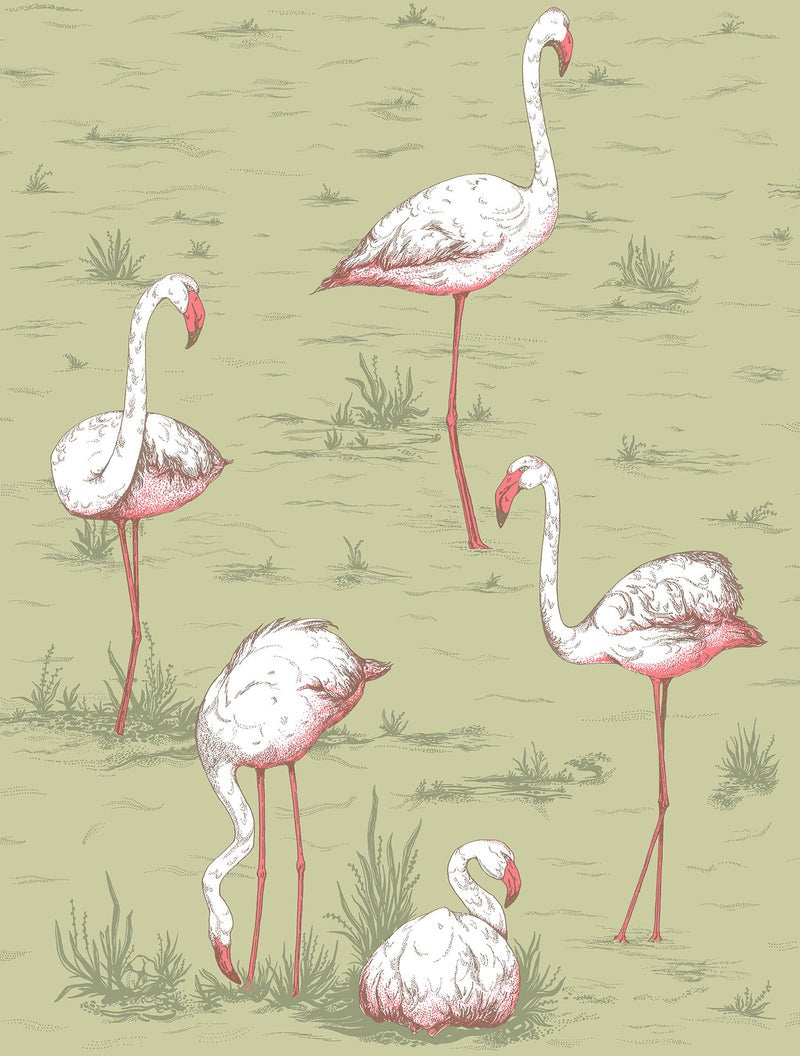 papel-pintado--flamingos-icons-11211038-11726
