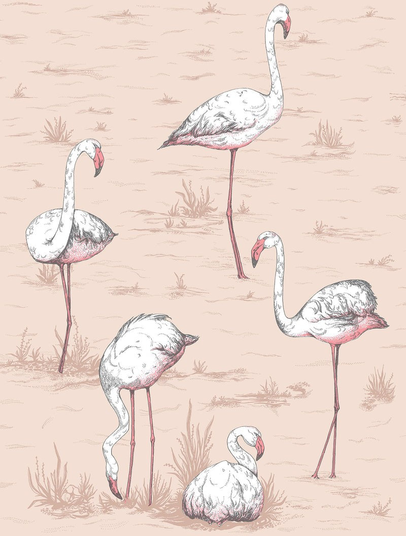 papel-pintado--flamingos-icons-11211039-11727