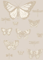 Papel Pintado | Butterflies & Dragonflies 103/15064