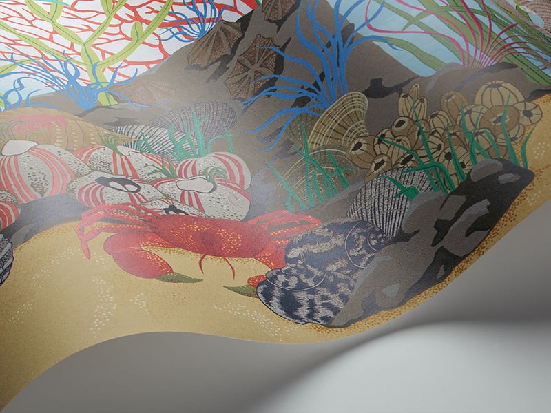 Papel Pintado | Archipelago Border 103/12054