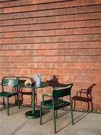 Silla Brazos Linear Steel