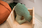 Coussin Brucy le Brocoli