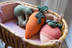 Coussin Cathy la Carotte