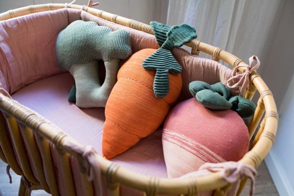 Coussin Cathy la Carotte
