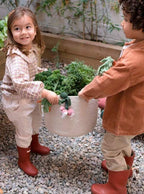 cesta--veggies-11765