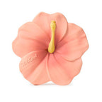 mordedor-iris-the-hibiscus-14978