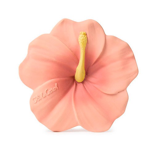 mordedor-iris-the-hibiscus-14978