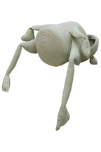 Cesta Fred The Frog