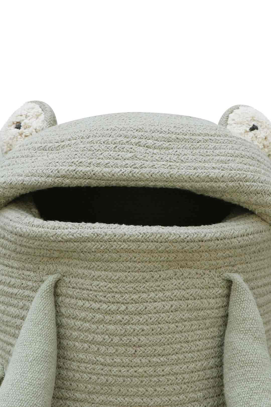 Cesta Fred The Frog
