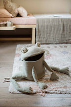 Cesta Fred The Frog