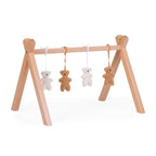 Set 4 Juguetes | Baby Gym Teddy