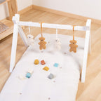 Set 4 Juguetes | Baby Gym Teddy