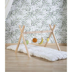 Set 4 Juguetes | Baby Gym Fruit