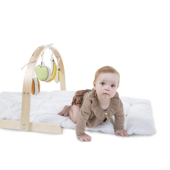 Set 4 Juguetes | Baby Gym Fruit
