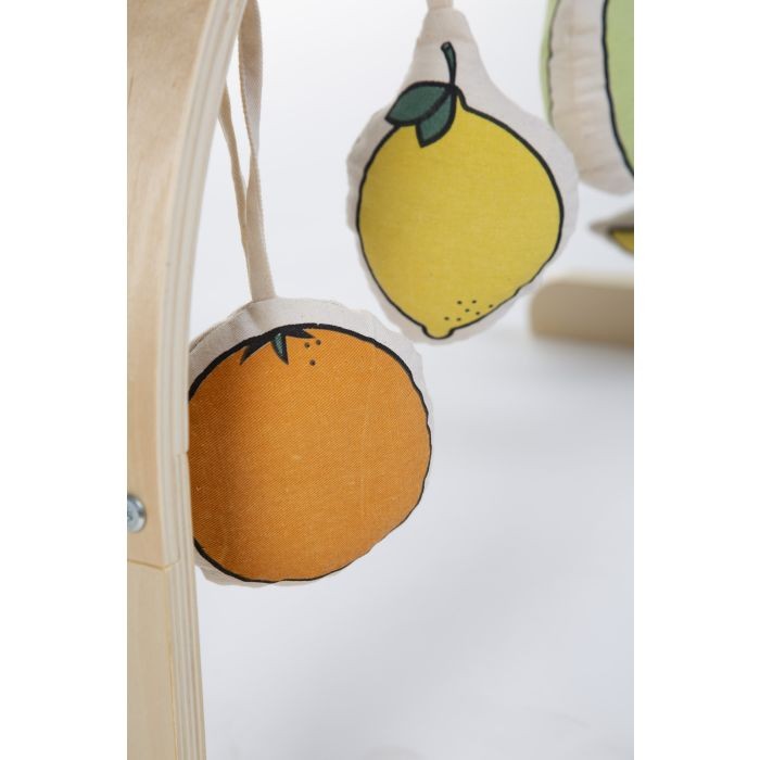 Set 4 Juguetes | Baby Gym Fruit