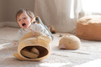 Cesta | Charlie The Chicken